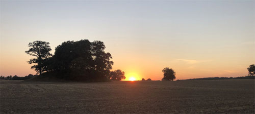 Stimmungen in Grabau